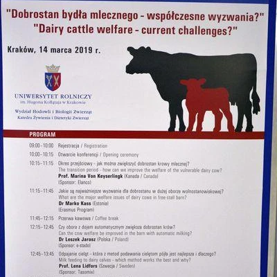 Conference 2019